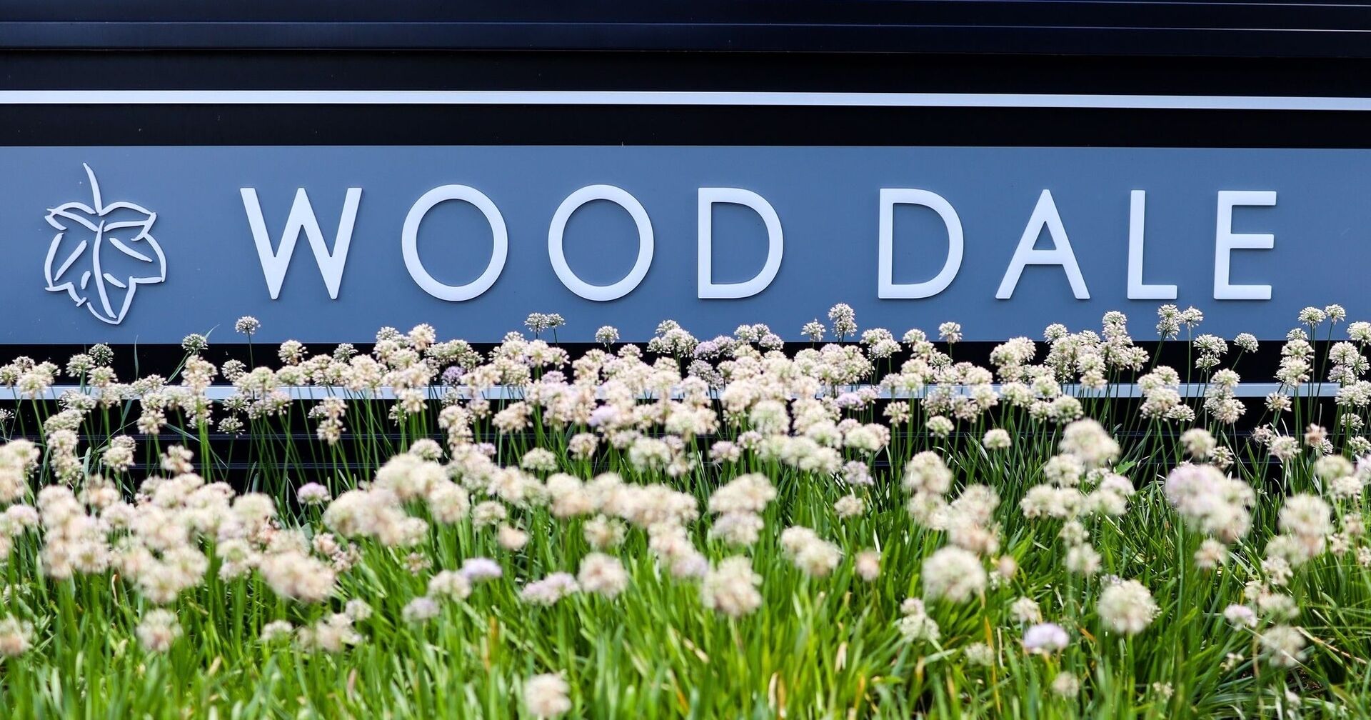 Junior Programs Wood Dale